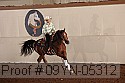 09yn-05312 proof
