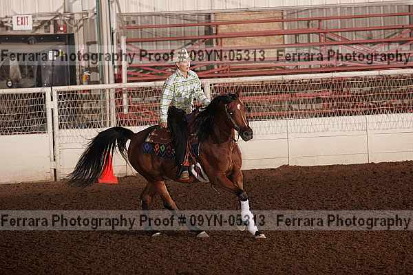 Proof 09yn-05313