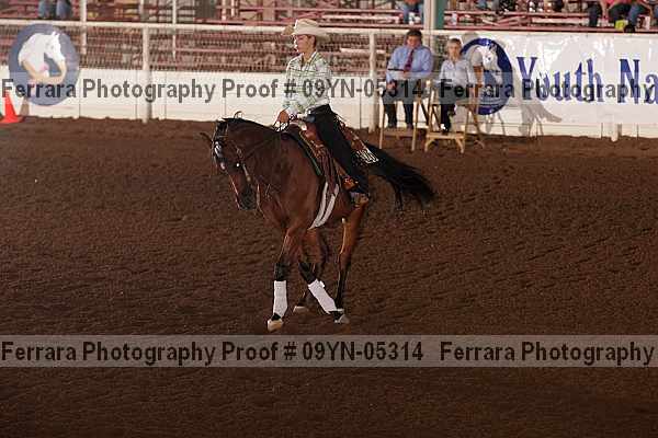 Proof 09yn-05314