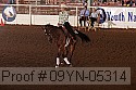09yn-05314 proof