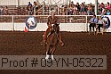 09yn-05322 proof