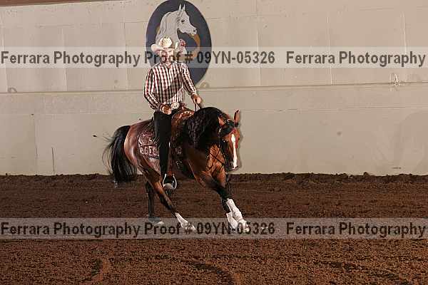 Proof 09yn-05326