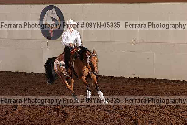 Proof 09yn-05335