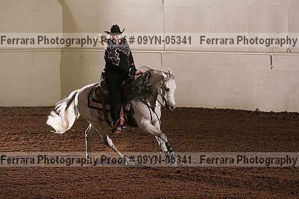 Proof 09yn-05341