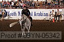 09yn-05342 proof