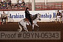 09yn-05343 proof