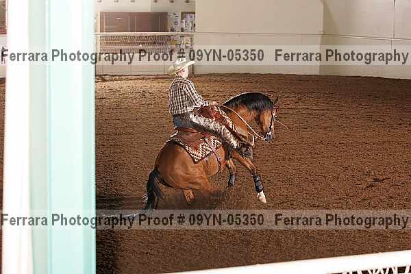 Proof 09yn-05350