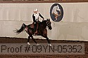 09yn-05352 proof