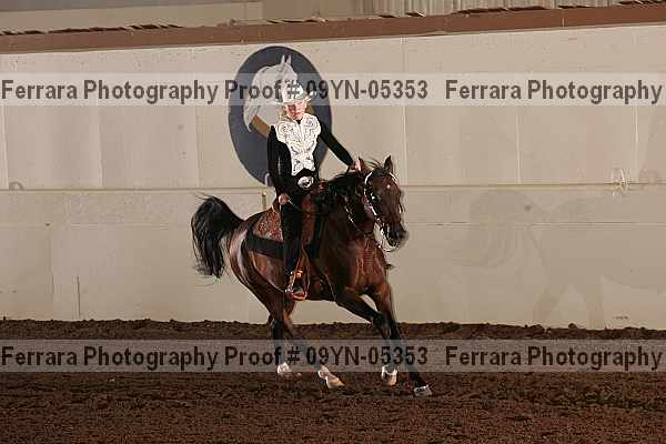Proof 09yn-05353