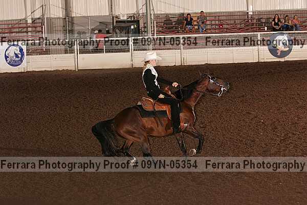 Proof 09yn-05354