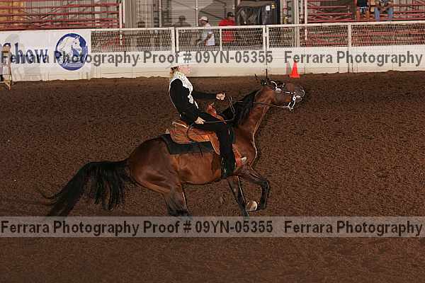 Proof 09yn-05355