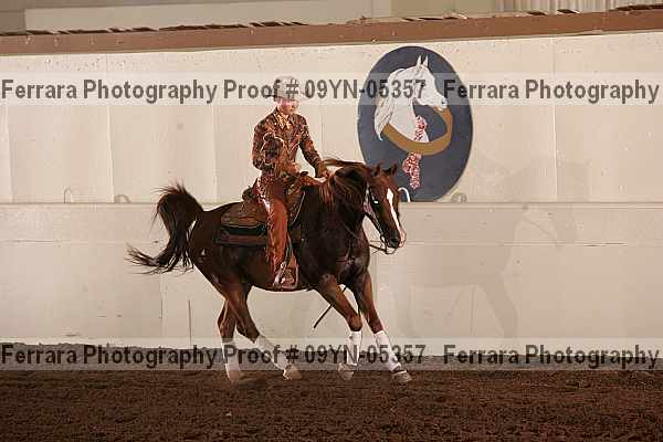 Proof 09yn-05357