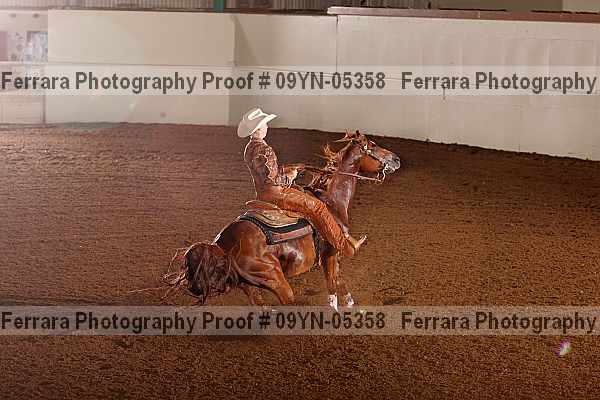 Proof 09yn-05358