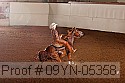 09yn-05358 proof