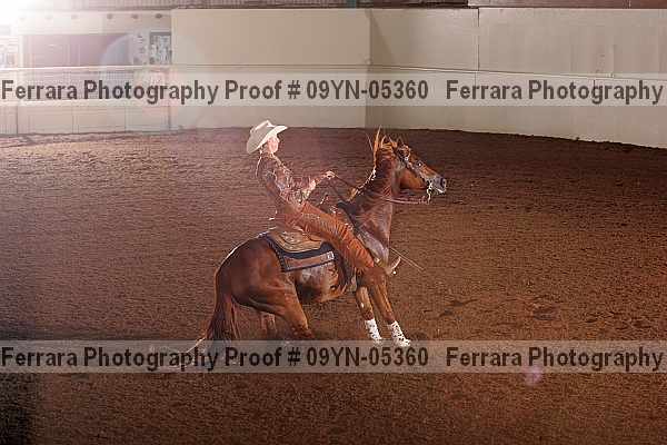 Proof 09yn-05360