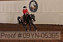 09yn-05365 proof