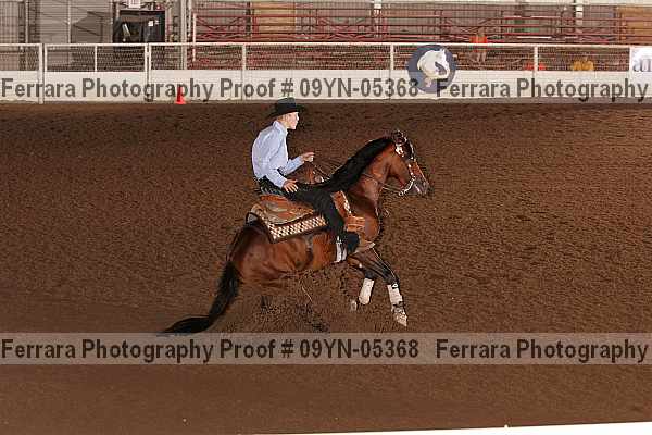 Proof 09yn-05368