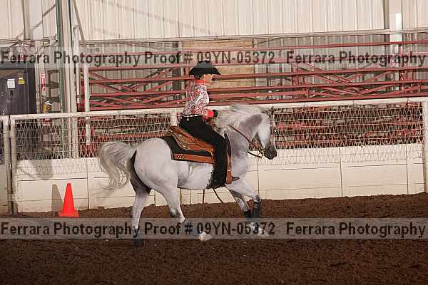 Proof 09yn-05372