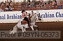 09yn-05373 proof
