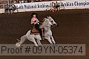 09yn-05374 proof