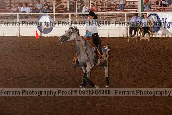 Proof 09yn-05380
