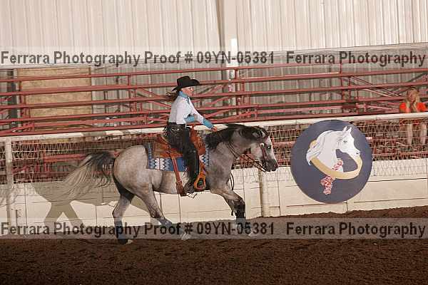 Proof 09yn-05381