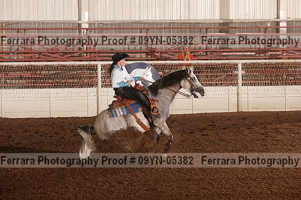 Proof 09yn-05382
