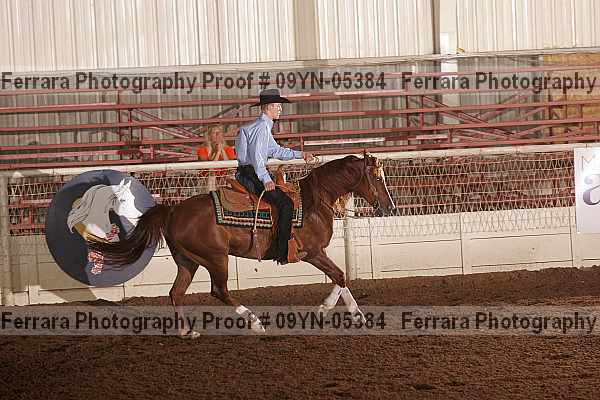 Proof 09yn-05384