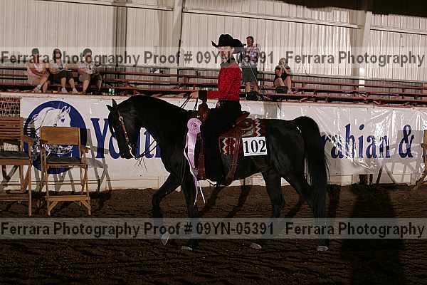 Proof 09yn-05391