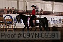 09yn-05391 proof