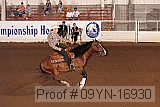 09yn-16930 proof