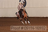 09yn-16932 proof