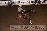 09yn-16933 proof