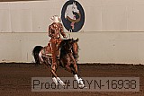 09yn-16938 proof