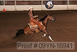 09yn-16941 proof