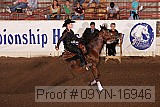 09yn-16946 proof