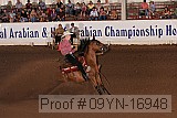 09yn-16948 proof