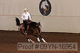 09yn-16954 proof