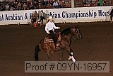 09yn-16957 proof