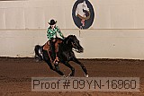 09yn-16960 proof