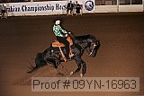 09yn-16963 proof