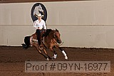 09yn-16977 proof