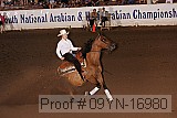 09yn-16980 proof