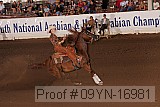 09yn-16981 proof