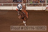 09yn-16982 proof