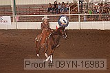09yn-16983 proof