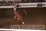 09yn-16986 proof