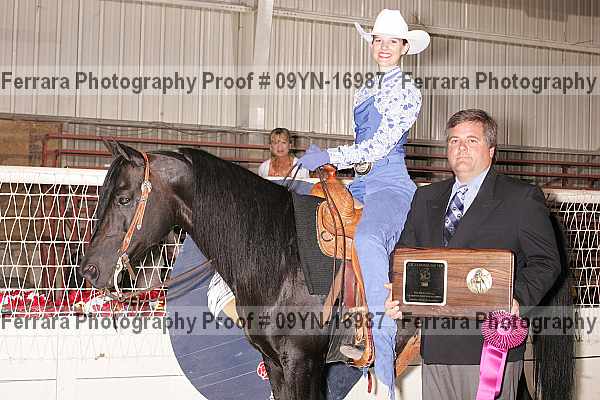 Proof 09yn-16987