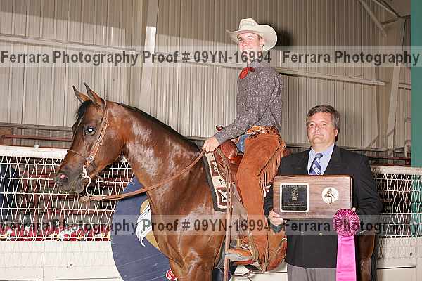 Proof 09yn-16994