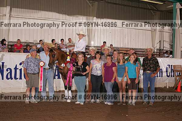 Proof 09yn-16996